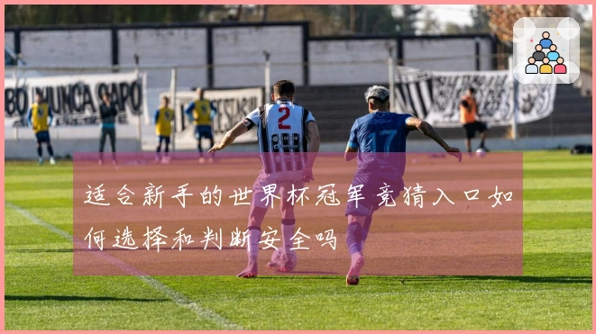 适合新手的世界杯冠军竞猜入口如何选择和判断安全吗