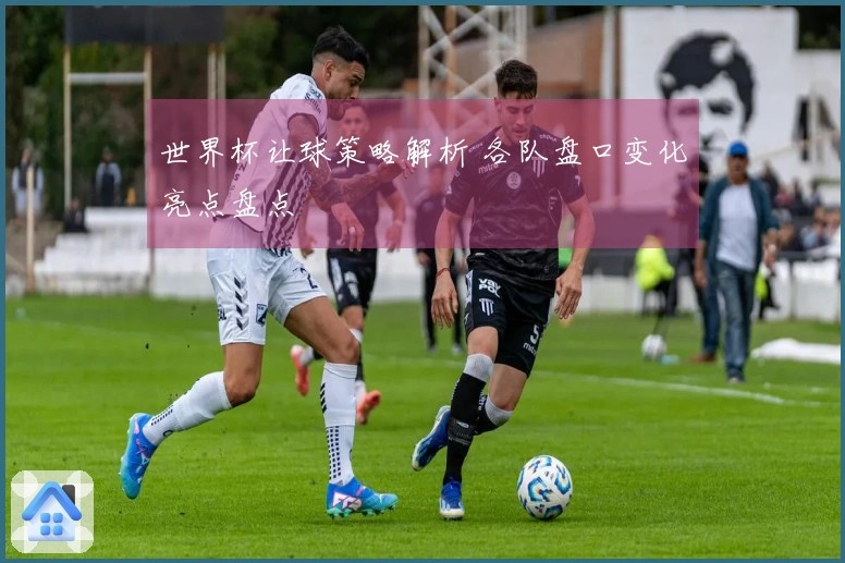世界杯让球策略解析 各队盘口变化亮点盘点