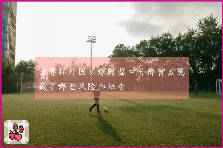 世界杯外围买球时盘口升降背后隐藏了哪些风险和机会