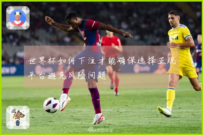世界杯如何下注才能确保选择正规平台避免风险问题