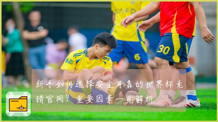 新手如何选择安全可靠的世界杯竞猜官网？重要因素一览解析