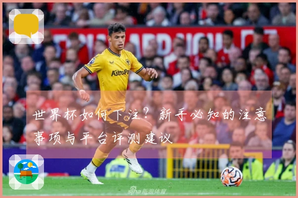世界杯如何下注？新手必知的注意事项与平台评测建议