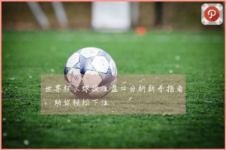 世界杯买球投注盘口分析新手指南，助你轻松下注