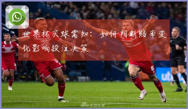 世界杯买球需知：如何判断赔率变化影响投注决策