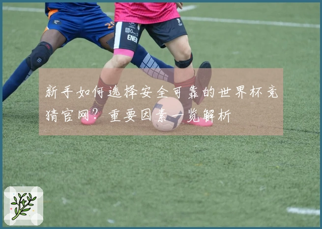 新手如何选择安全可靠的世界杯竞猜官网？重要因素一览解析