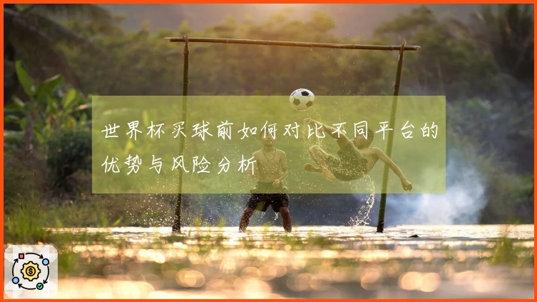 世界杯买球前如何对比不同平台的优势与风险分析