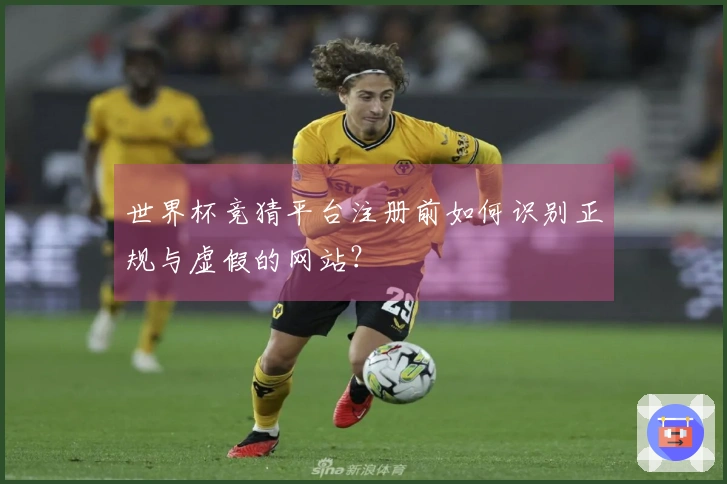 世界杯竞猜平台注册前如何识别正规与虚假的网站？