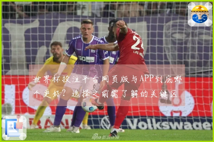 世界杯投注平台网页版与APP到底哪个更好？选择之前需了解的关键区别