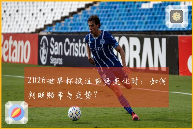 2026世界杯投注临场变化时，如何判断赔率与走势？