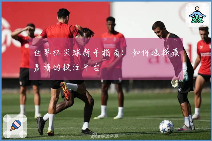 世界杯买球新手指南：如何选择最靠谱的投注平台