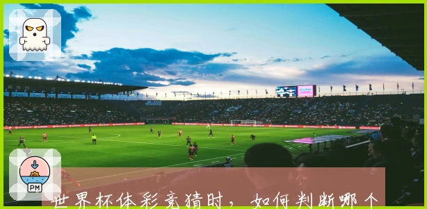 世界杯体彩竞猜时，如何判断哪个平台更可靠并能避免潜在风险？