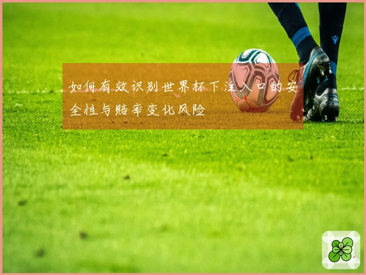 如何有效识别世界杯下注入口的安全性与赔率变化风险