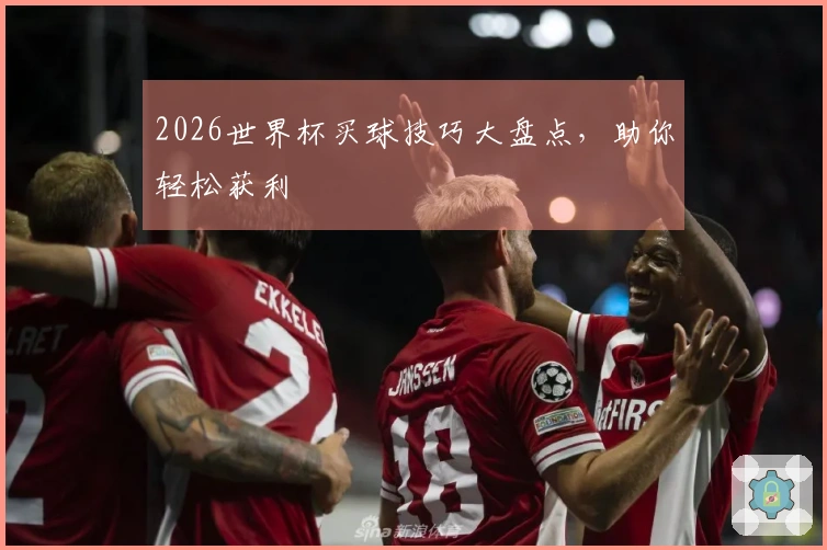 2026世界杯买球技巧大盘点，助你轻松获利