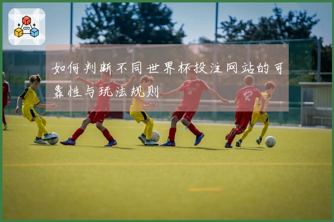 如何判断不同世界杯投注网站的可靠性与玩法规则