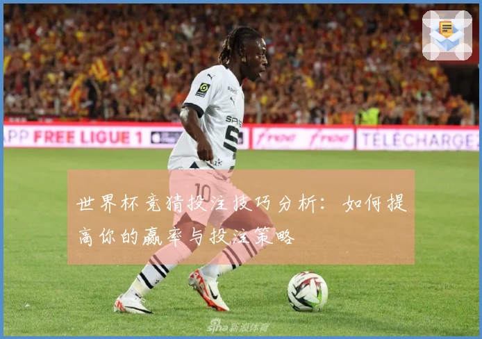 世界杯竞猜投注技巧分析：如何提高你的赢率与投注策略