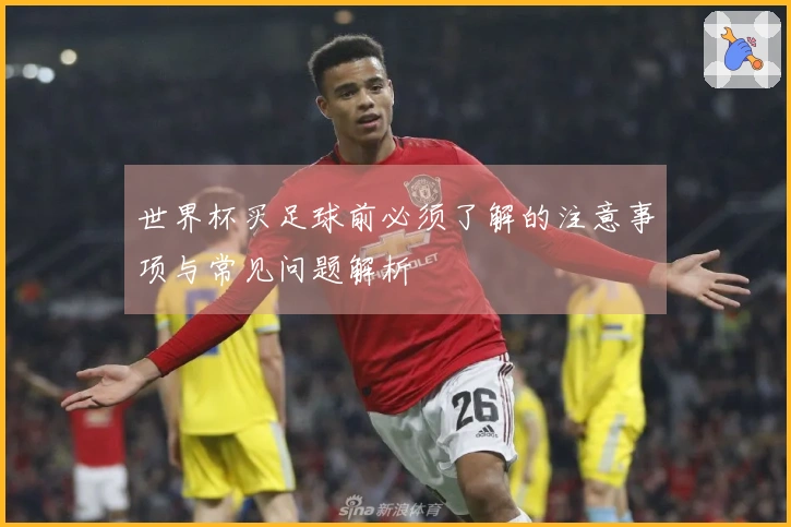 世界杯买足球前必须了解的注意事项与常见问题解析