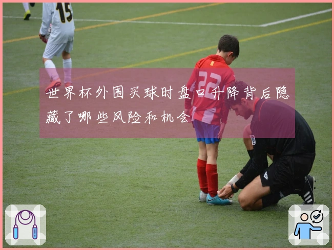 世界杯外围买球时盘口升降背后隐藏了哪些风险和机会