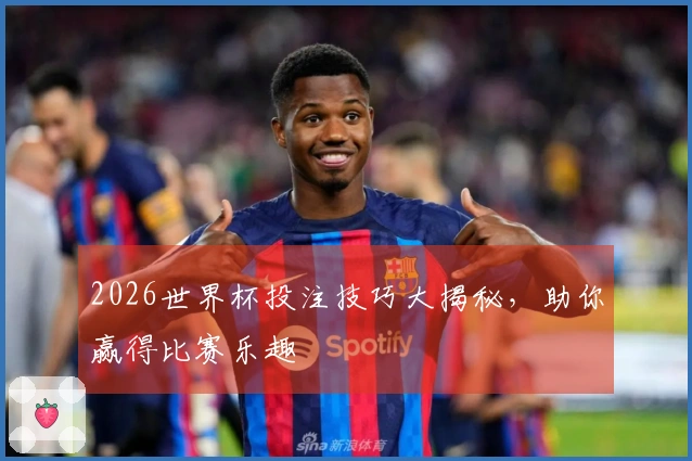 2026世界杯投注技巧大揭秘，助你赢得比赛乐趣