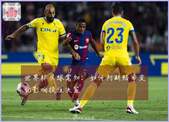 世界杯买球需知：如何判断赔率变化影响投注决策