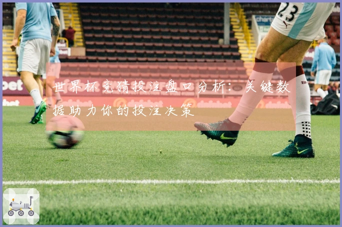 世界杯竞猜投注盘口分析：关键数据助力你的投注决策