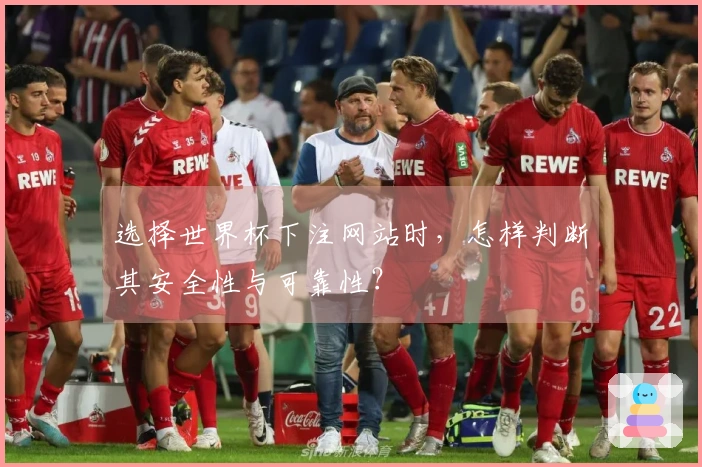 选择世界杯下注网站时，怎样判断其安全性与可靠性？