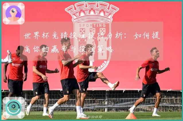 世界杯竞猜投注技巧分析：如何提高你的赢率与投注策略