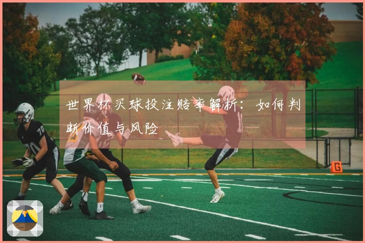 世界杯买球投注赔率解析：如何判断价值与风险