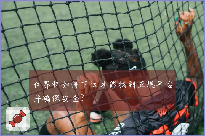 世界杯如何下注才能找到正规平台并确保安全？