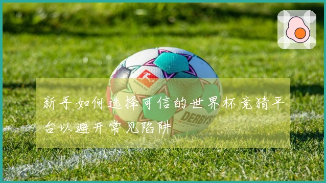 新手如何选择可信的世界杯竞猜平台以避开常见陷阱