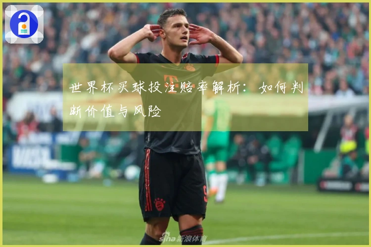 世界杯买球投注赔率解析：如何判断价值与风险