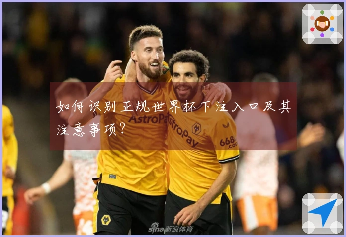 如何识别正规世界杯下注入口及其注意事项？