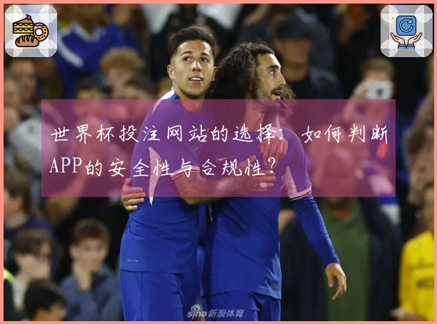 世界杯投注网站的选择：如何判断APP的安全性与合规性？
