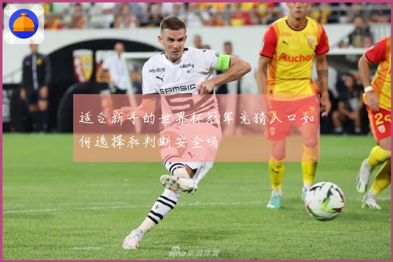 适合新手的世界杯冠军竞猜入口如何选择和判断安全吗